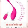 vibrator-VB-024
